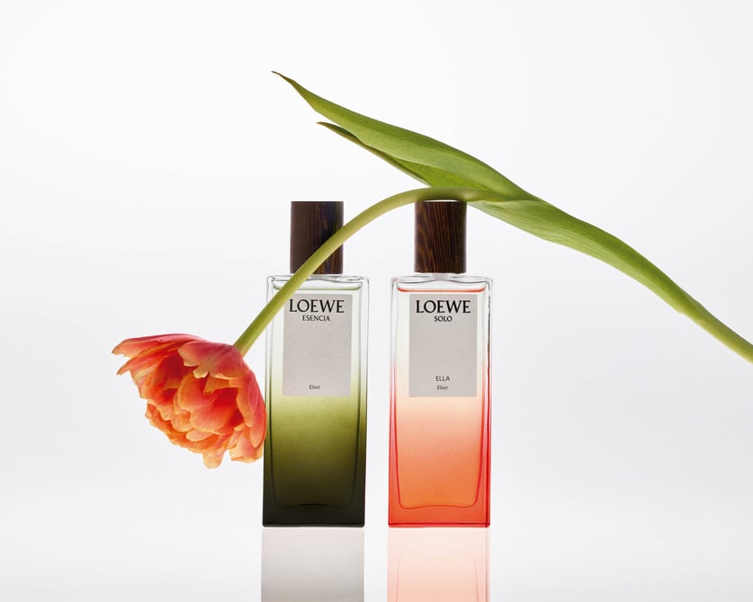 loewe-elixirs20231031-22.jpg