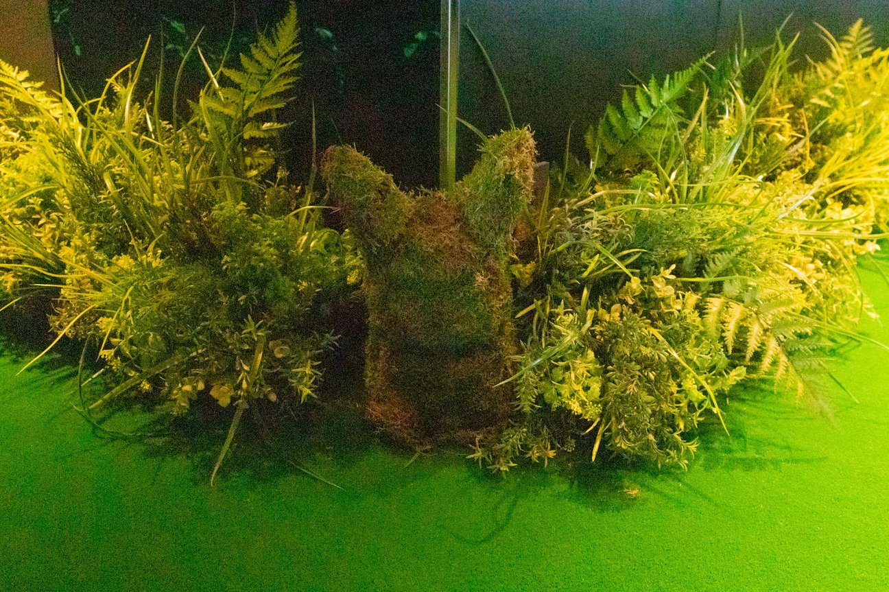 ポケモン　ホテル　藤原ヒロシ