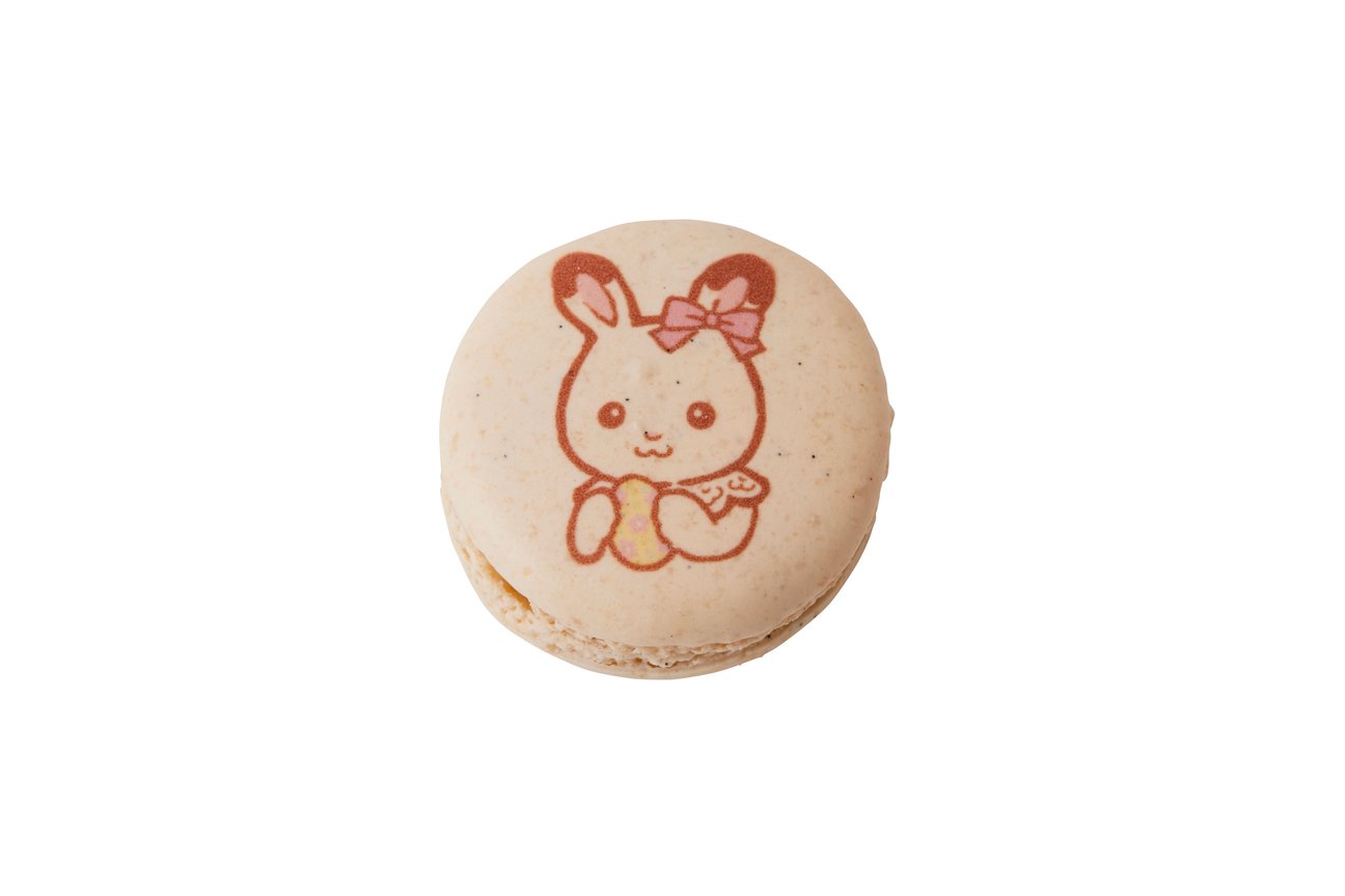 コラボのマカロン