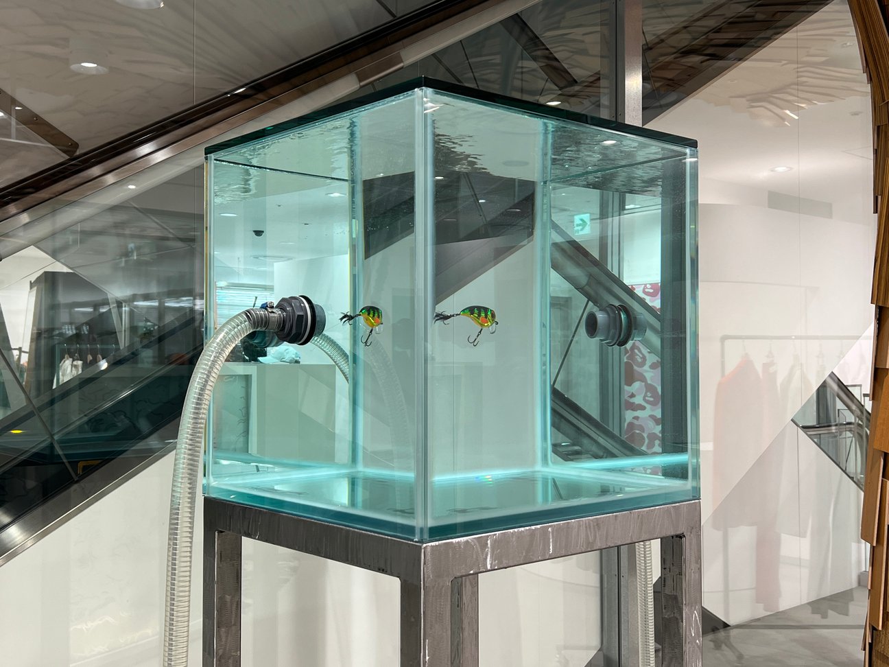 ドーバーストリートマーケットで開催されているボッターポップアップストアの店内に展示されたアート作品