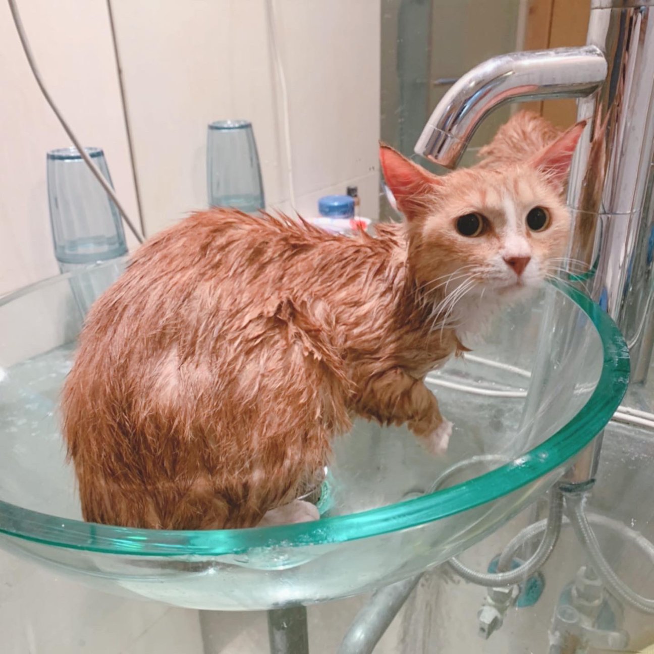 シャワー後のからあげクン