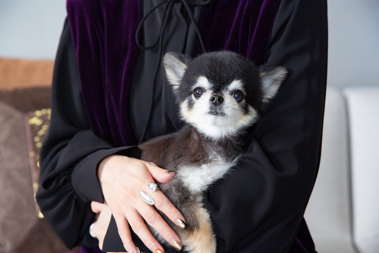 愛犬のcoji