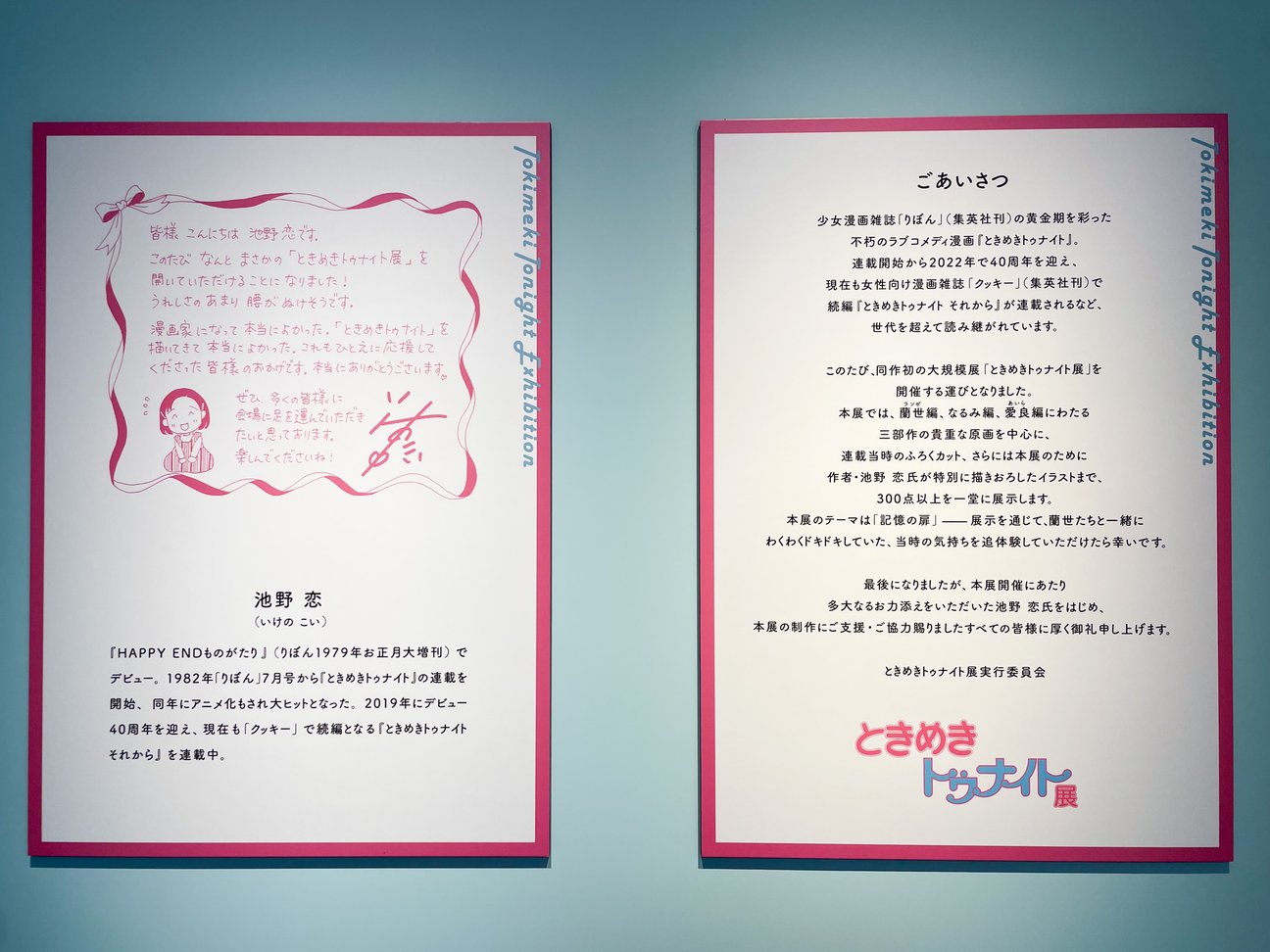 展示の様子