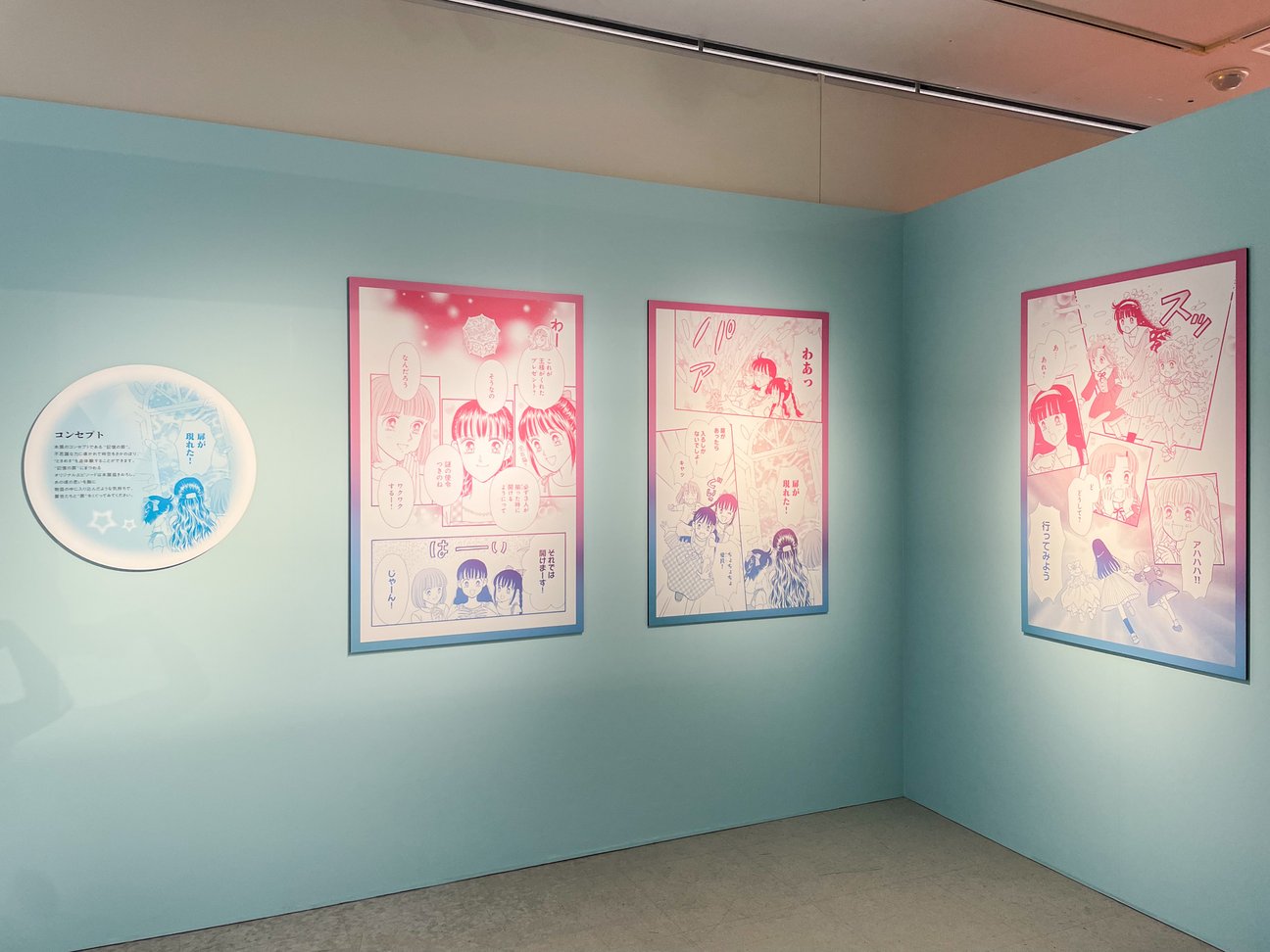 展示の様子