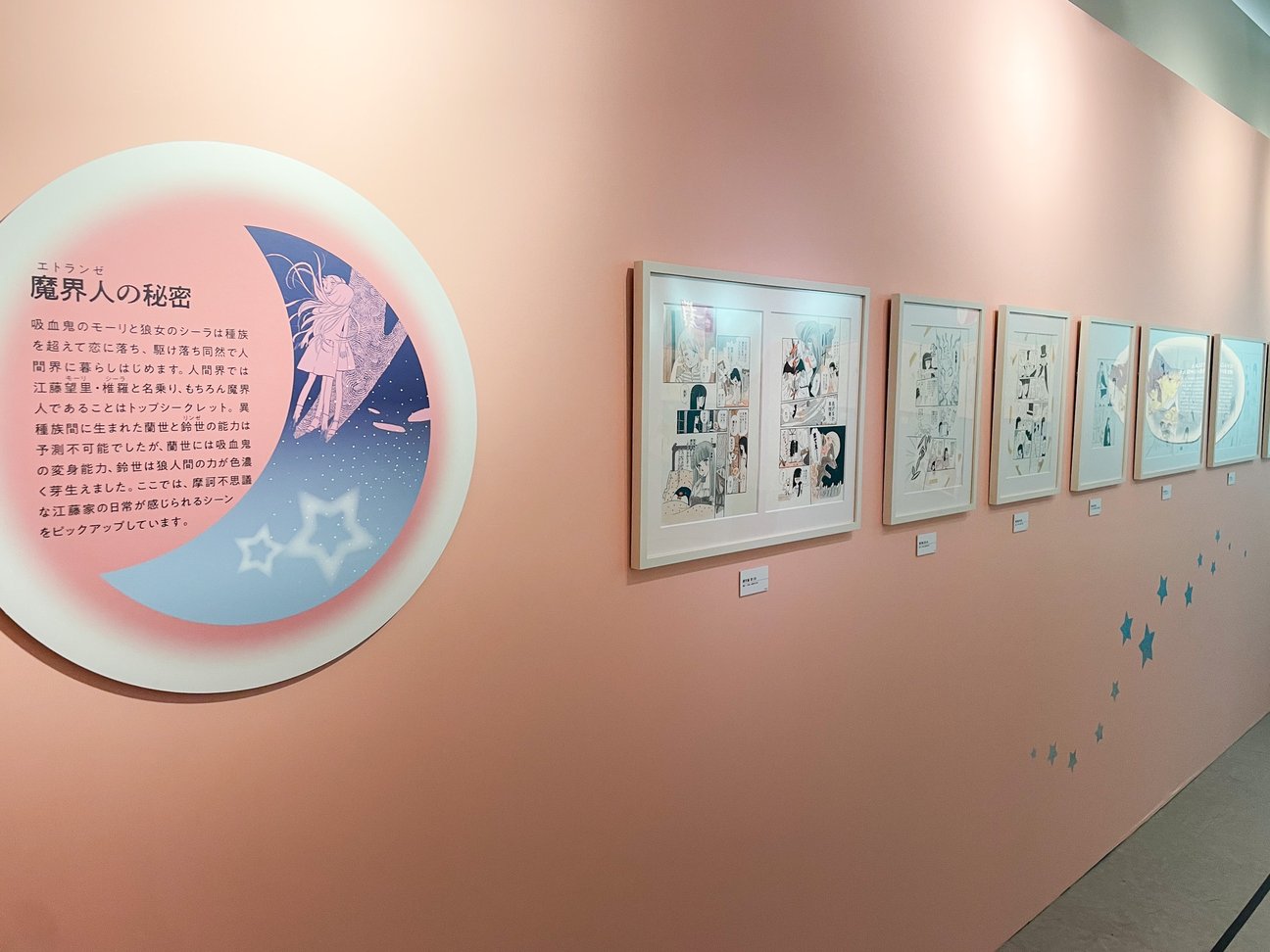 展示の様子