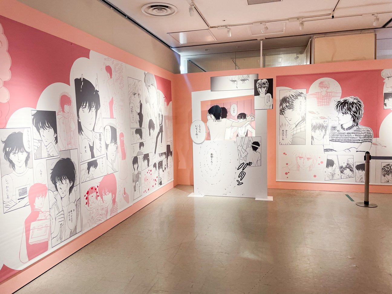展示の様子