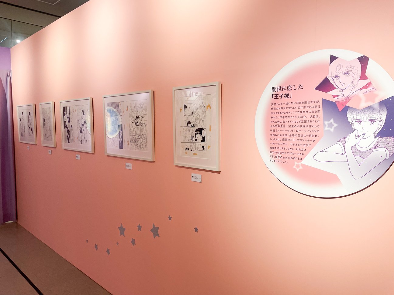 展示の様子
