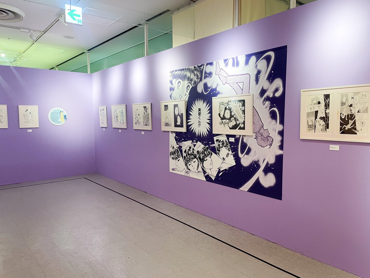 展示の様子