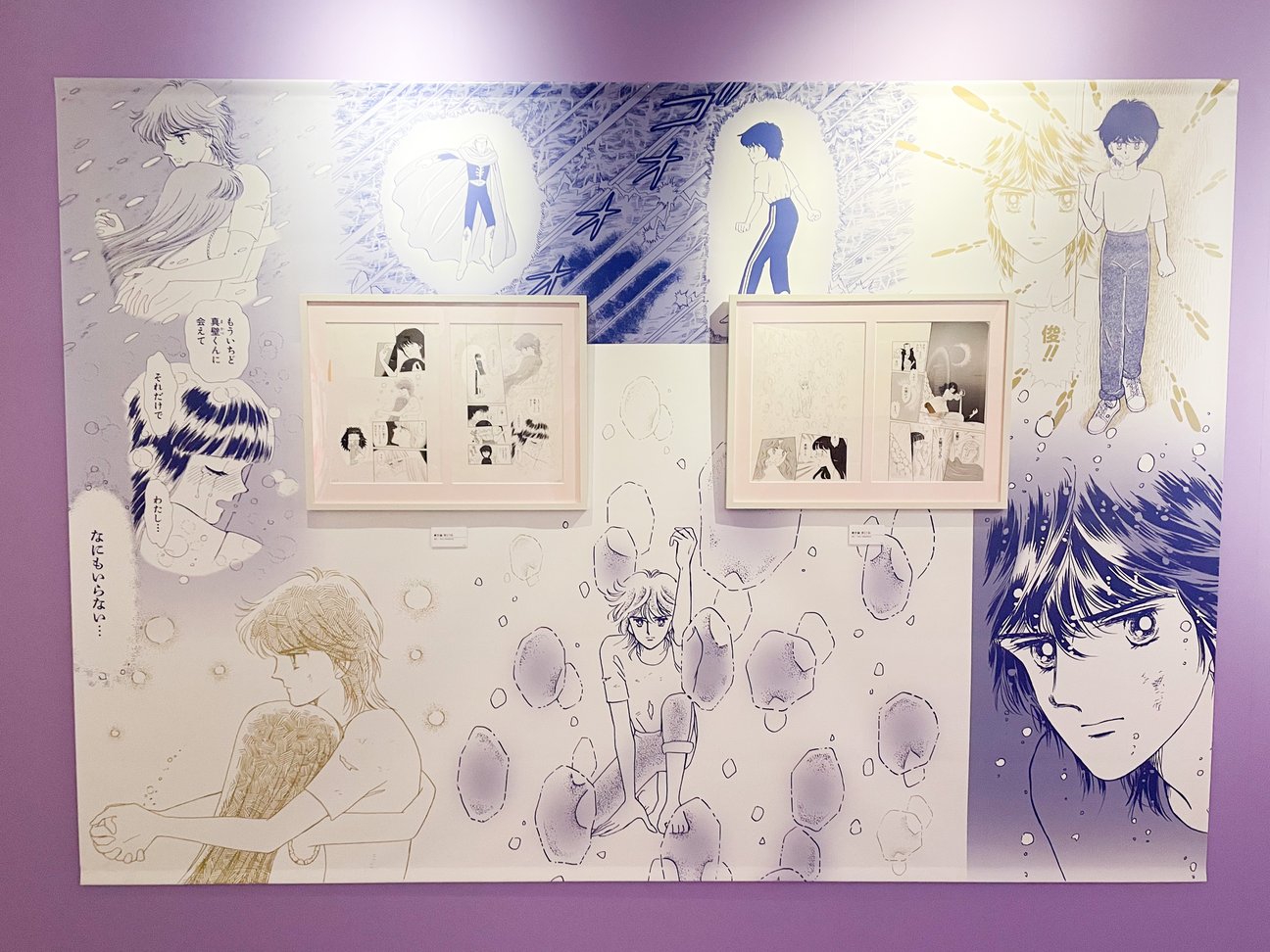 展示の様子