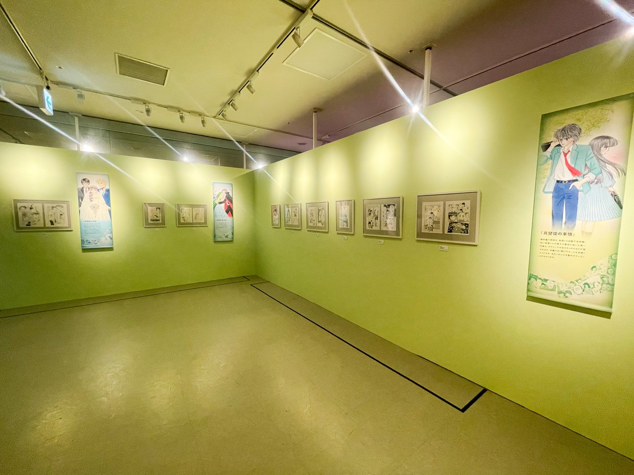 展示の様子