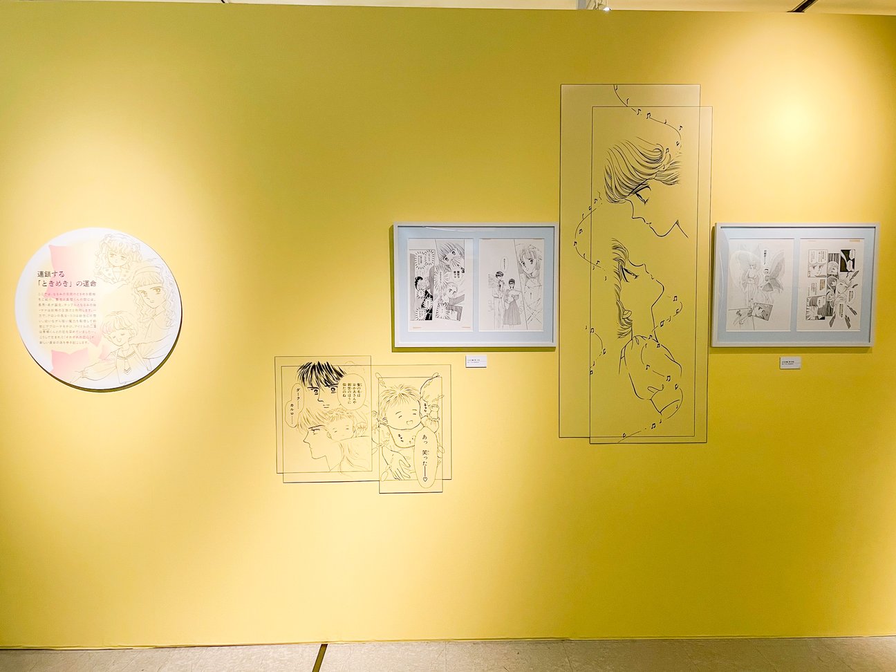 展示の様子