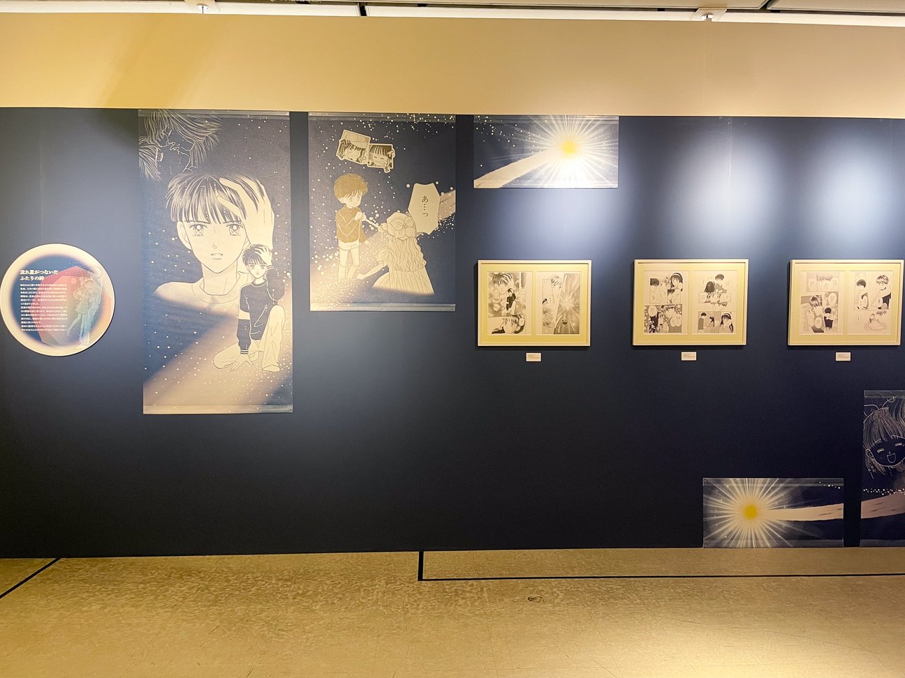 展示の様子