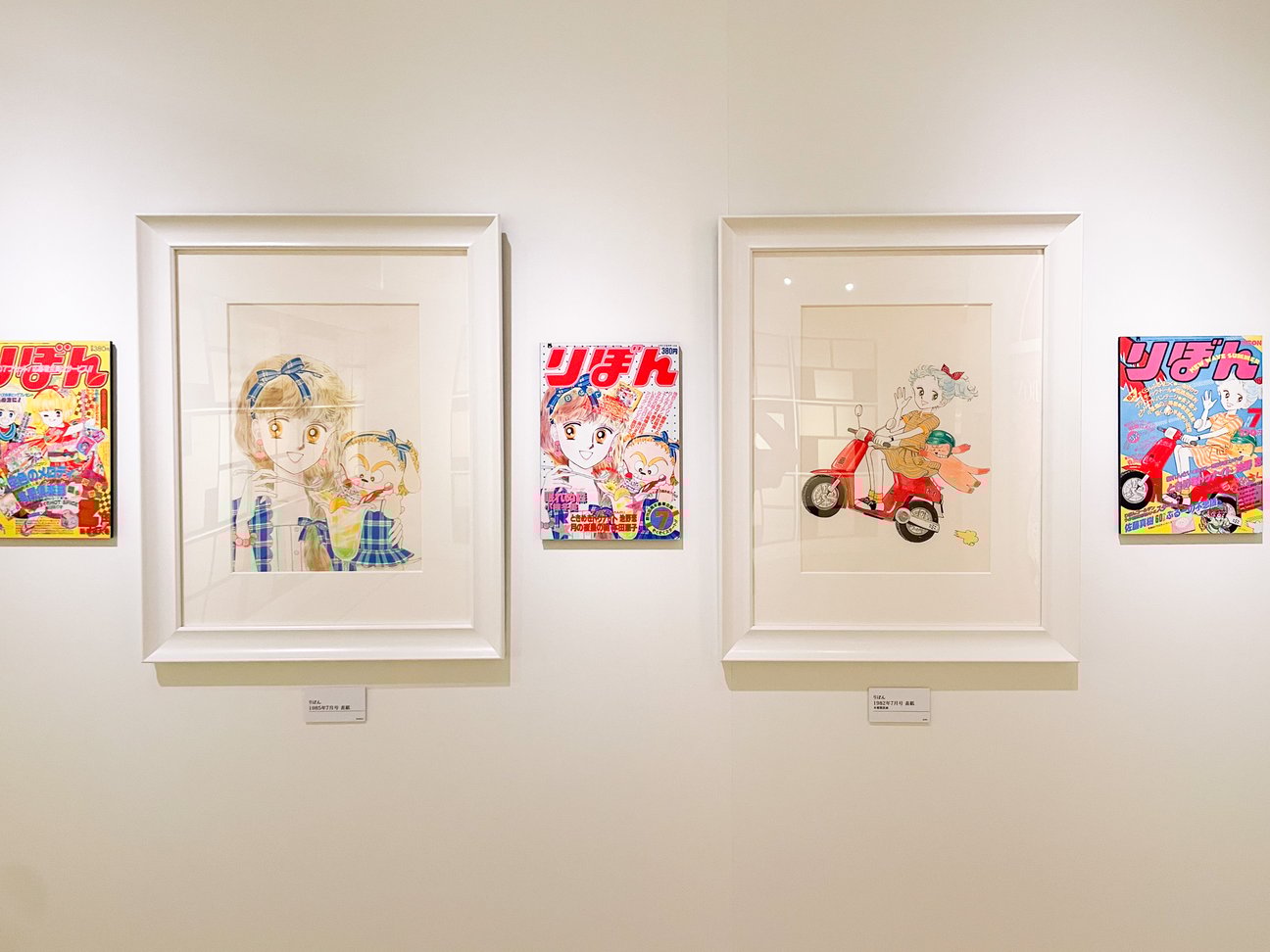 展示の様子