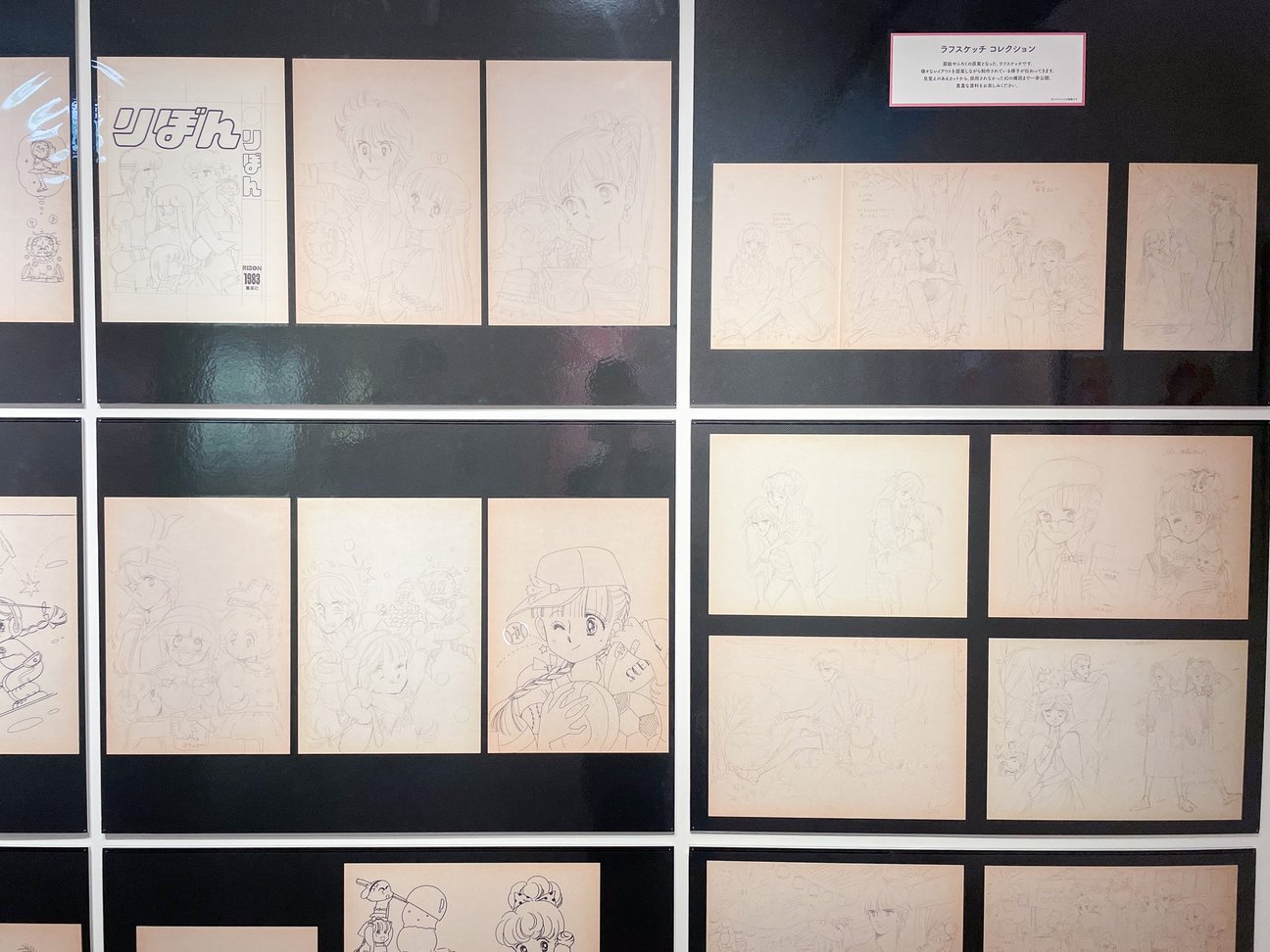展示の様子