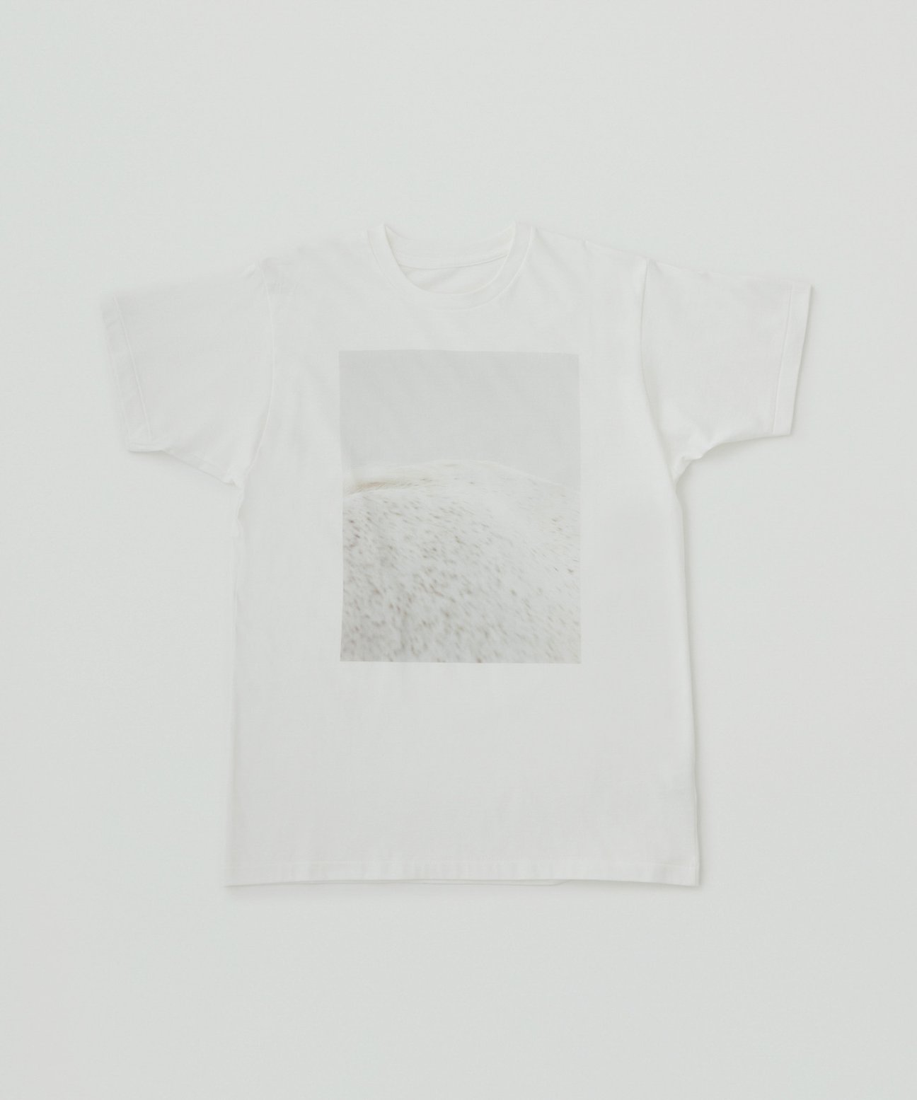 Tシャツ