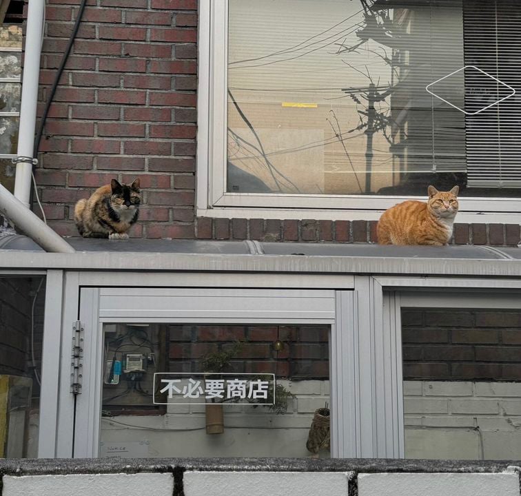 不必要商店店舗外観の画像