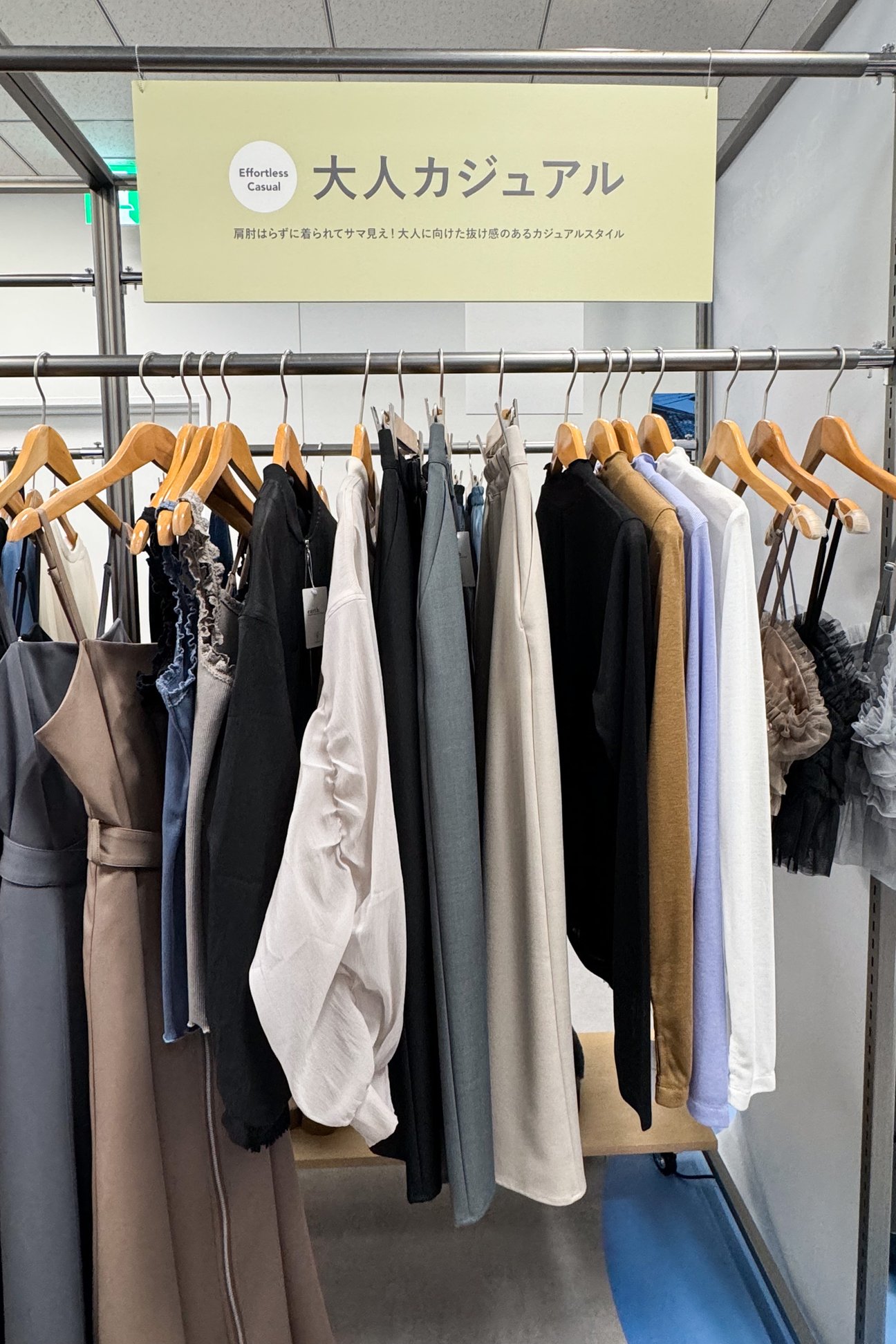 展示会より