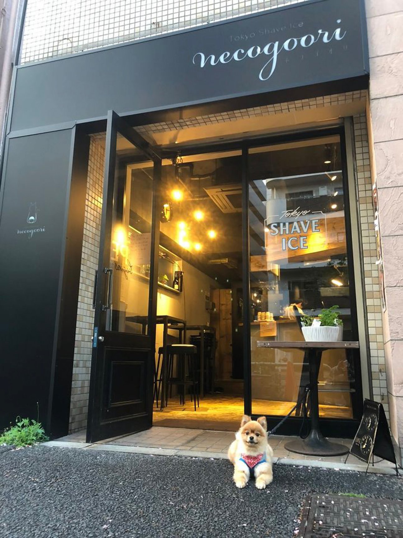 「トウキョウシェイブアイス ネコゴオリ」店舗外観画像