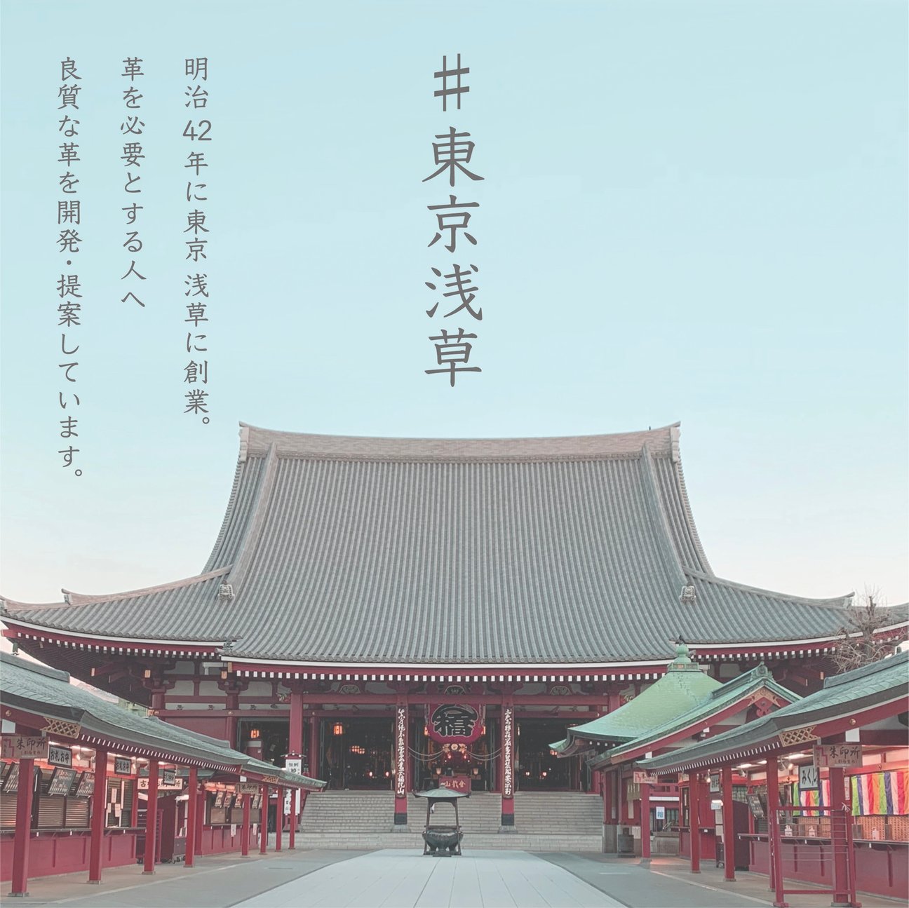 天野宝国のロゴとヴィジュアル