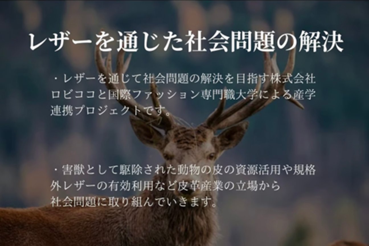 ロビココのヴィジュアル