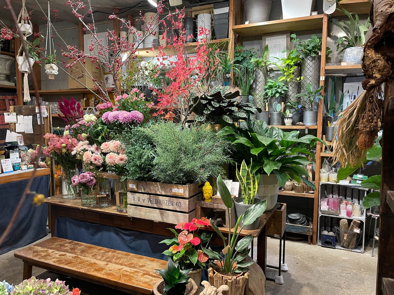 店舗画像