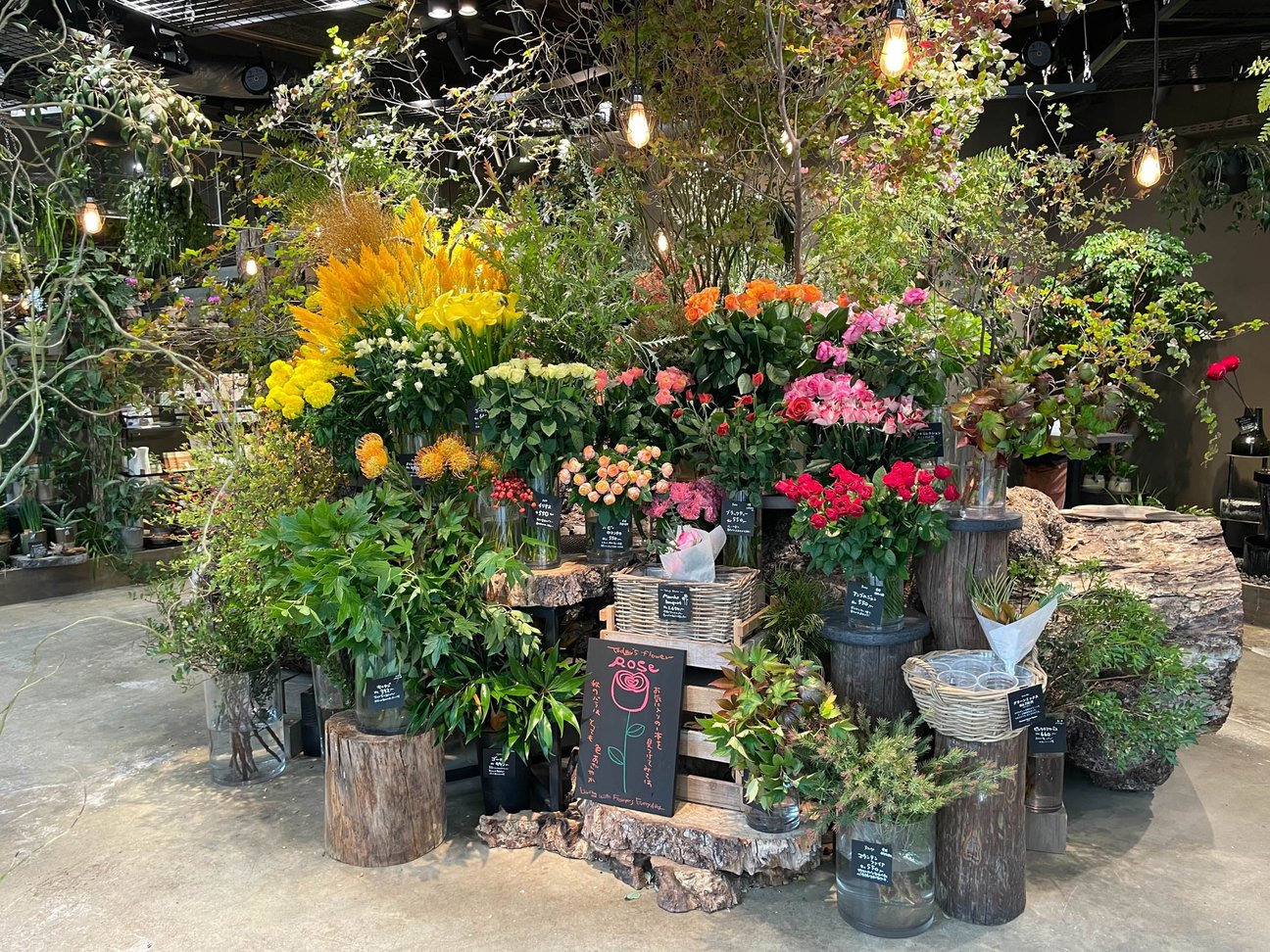 店舗画像