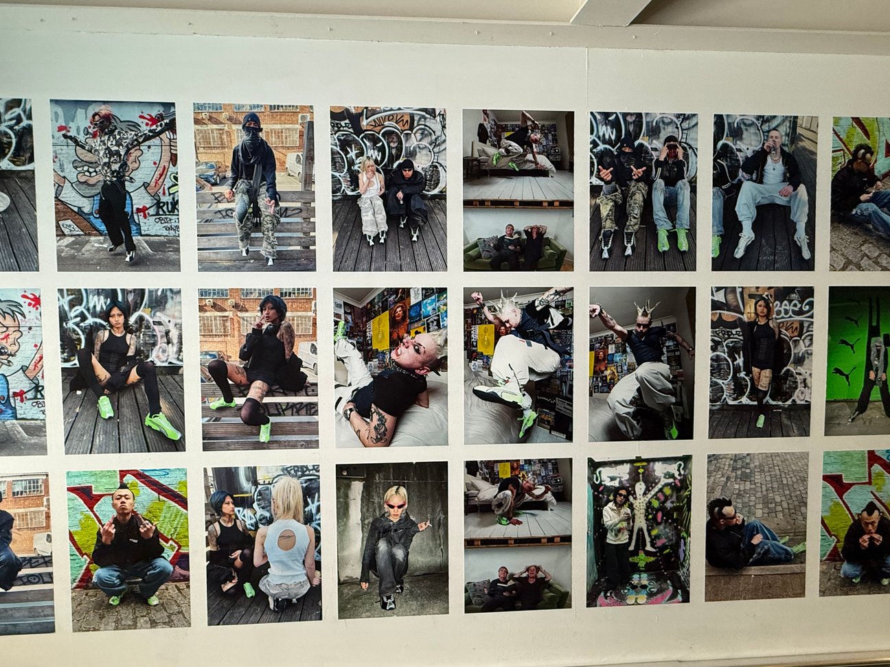 壁に展示された写真作品