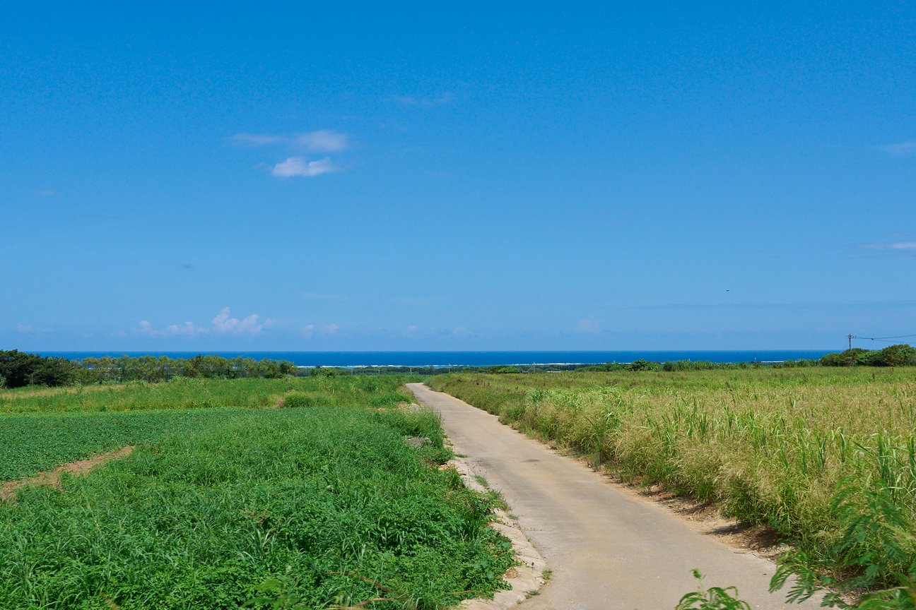 石垣島の緑道