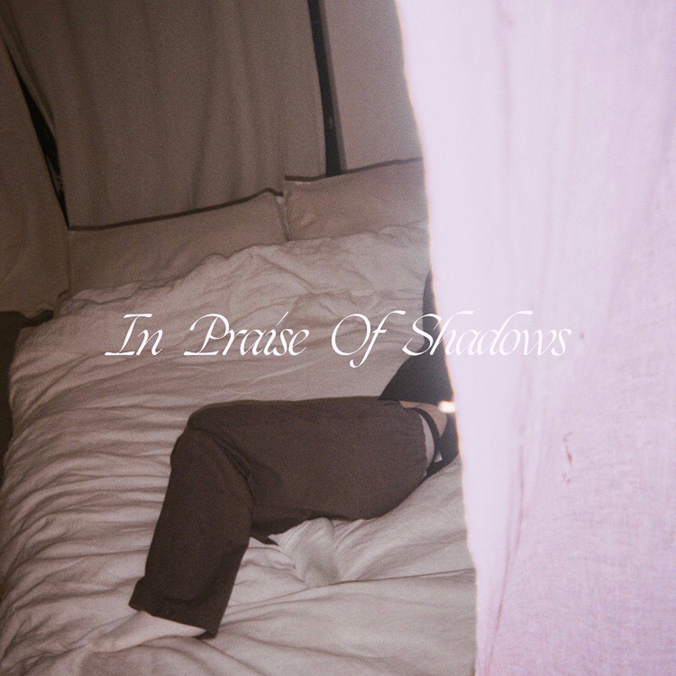 プーマ・ブルー In Praise of Shadows