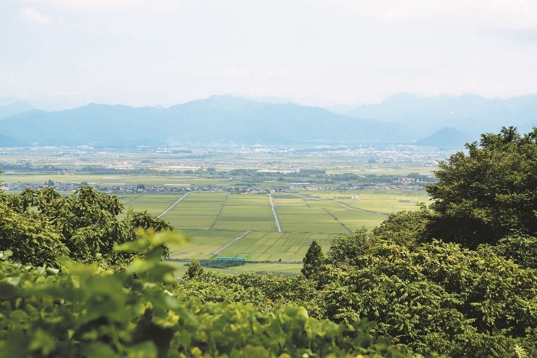 米富繊維の歴史を示す参考画像