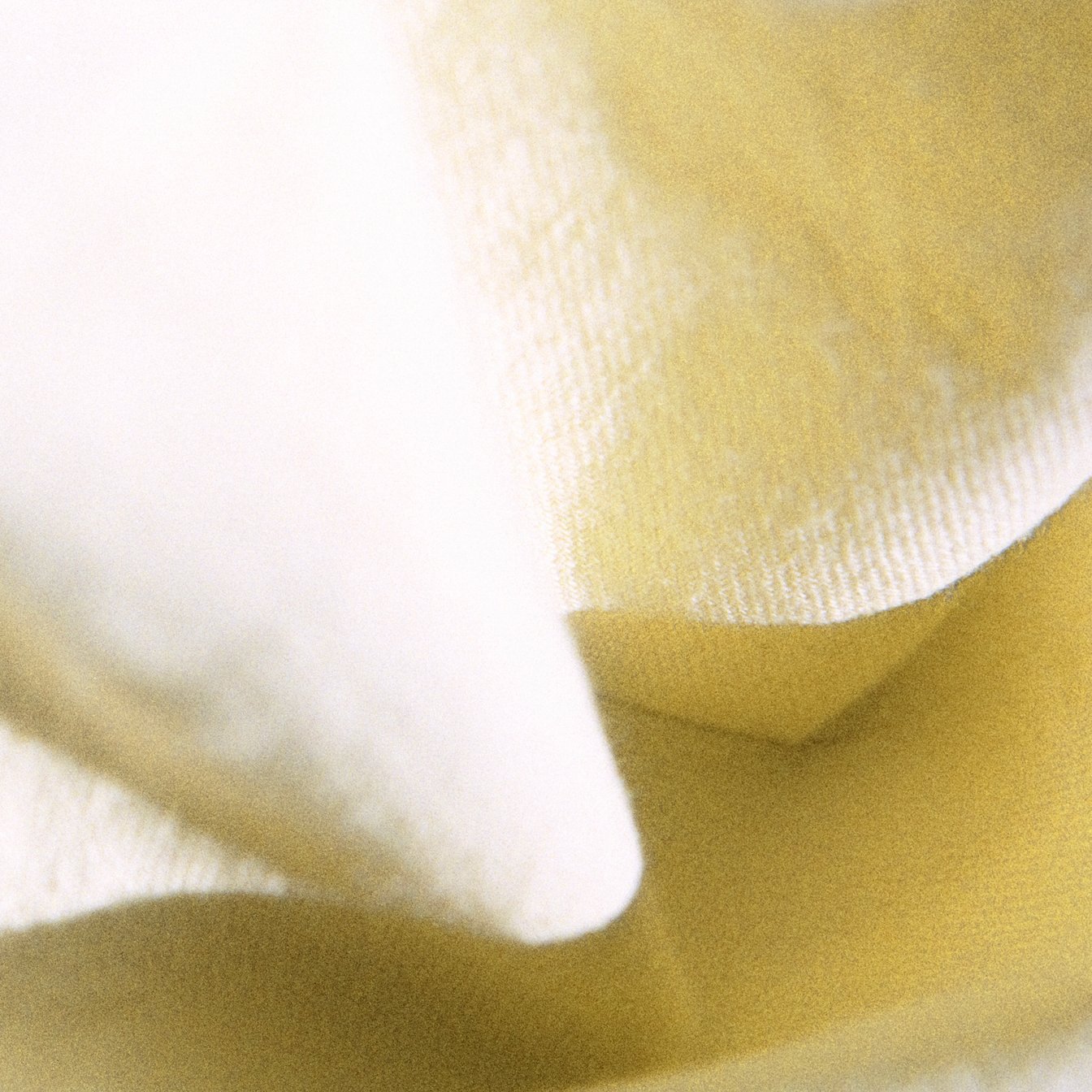 カネコアヤノ よすが