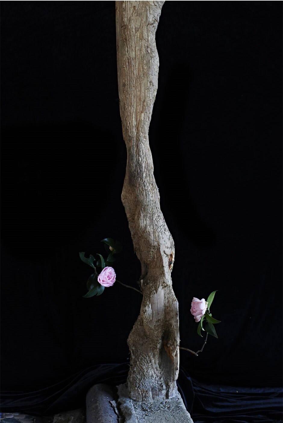 片桐功敦《Sarcrifice》　2020年