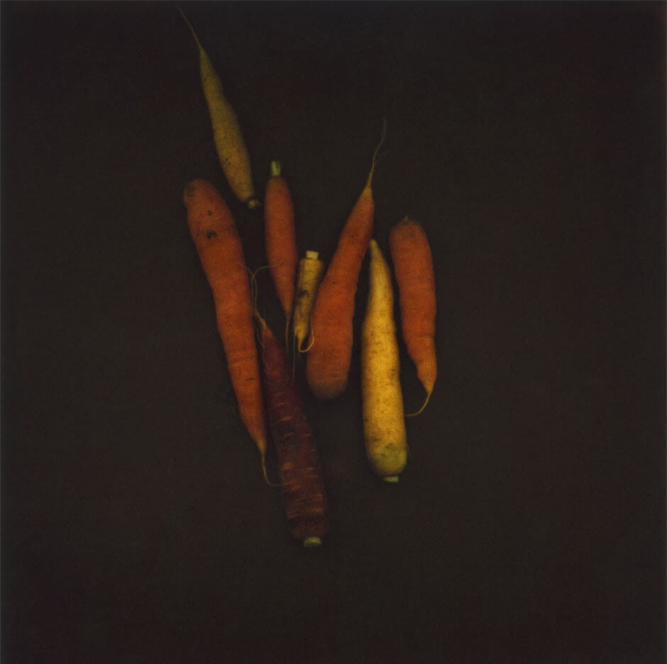 トーマ・デレーム《Légumineux, daucus carota - different carrots》2009年