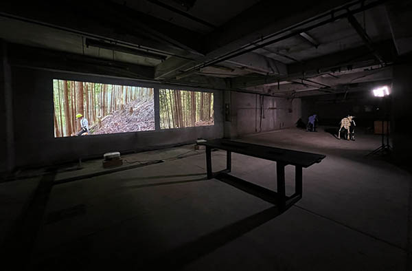 ひのはらアートプロジェクト 檜原村