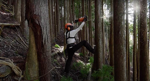 ひのはらアートプロジェクト 檜原村