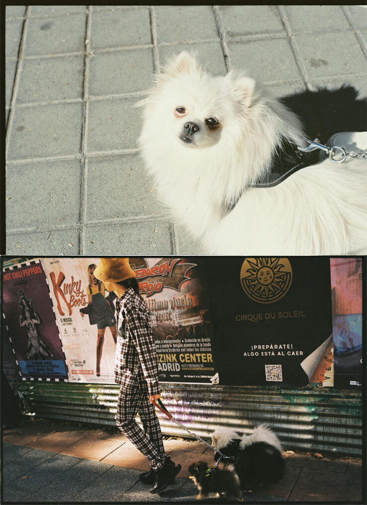 フォトグラファー Aitana Valencia