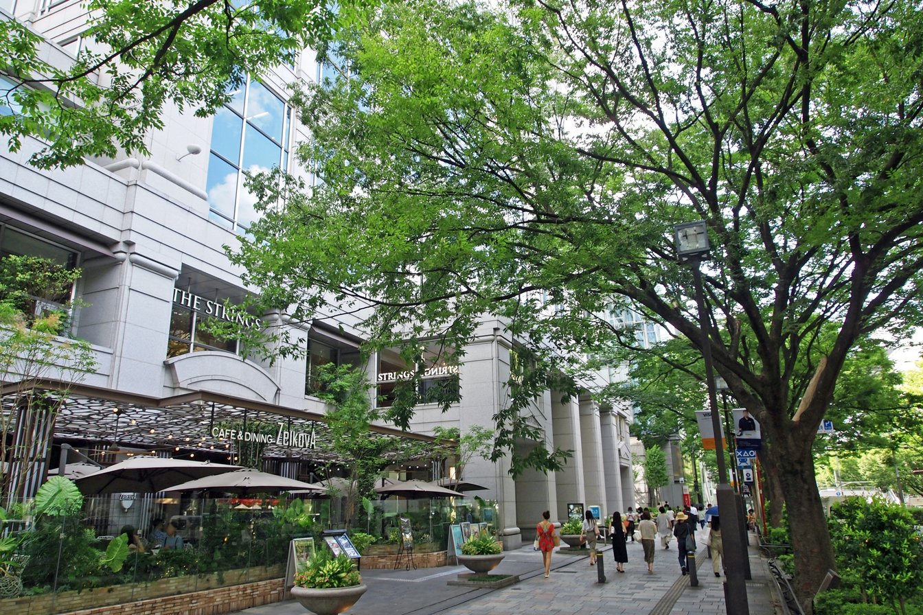 販売 インタビュー