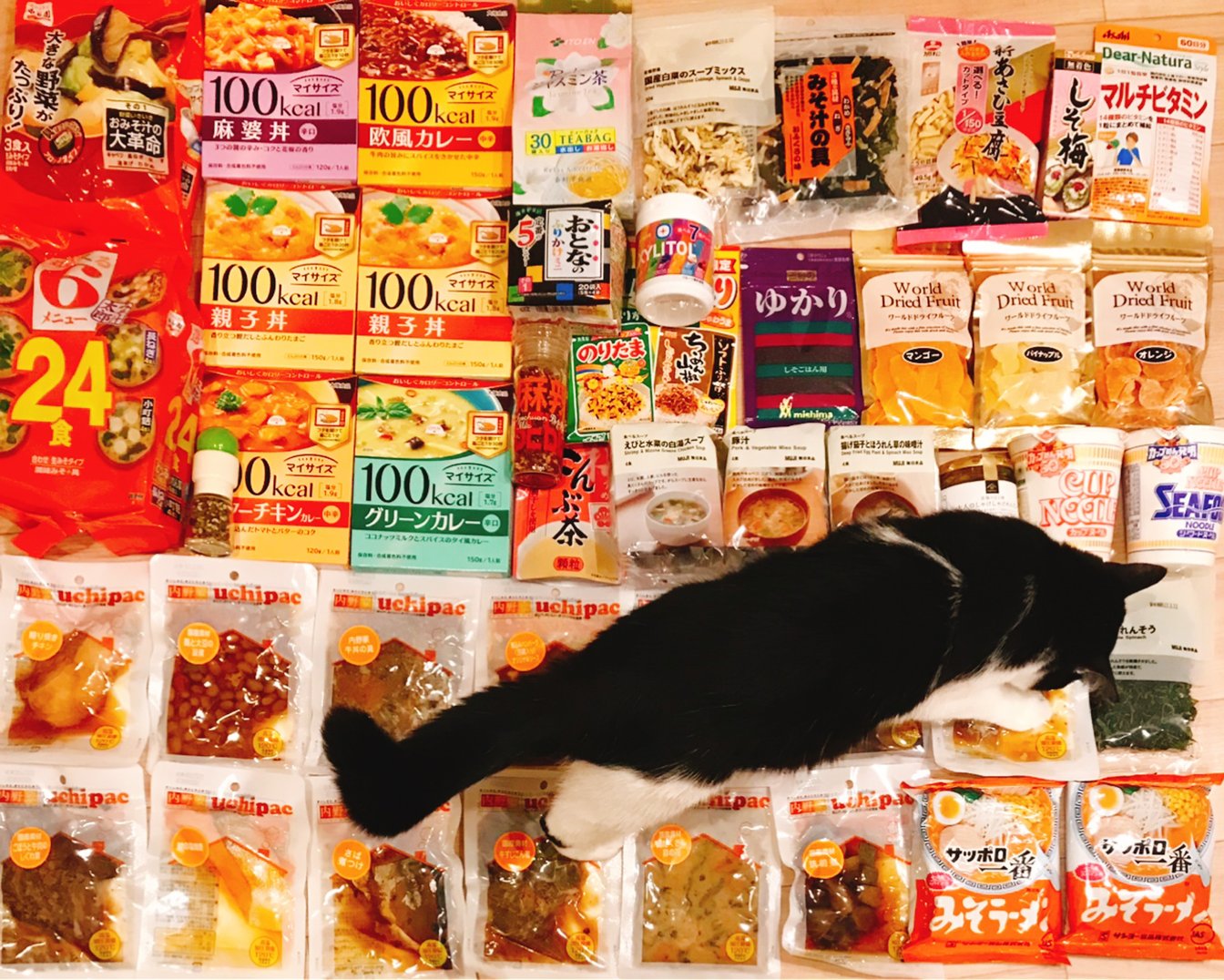 日本から持ってきたレトルト食品