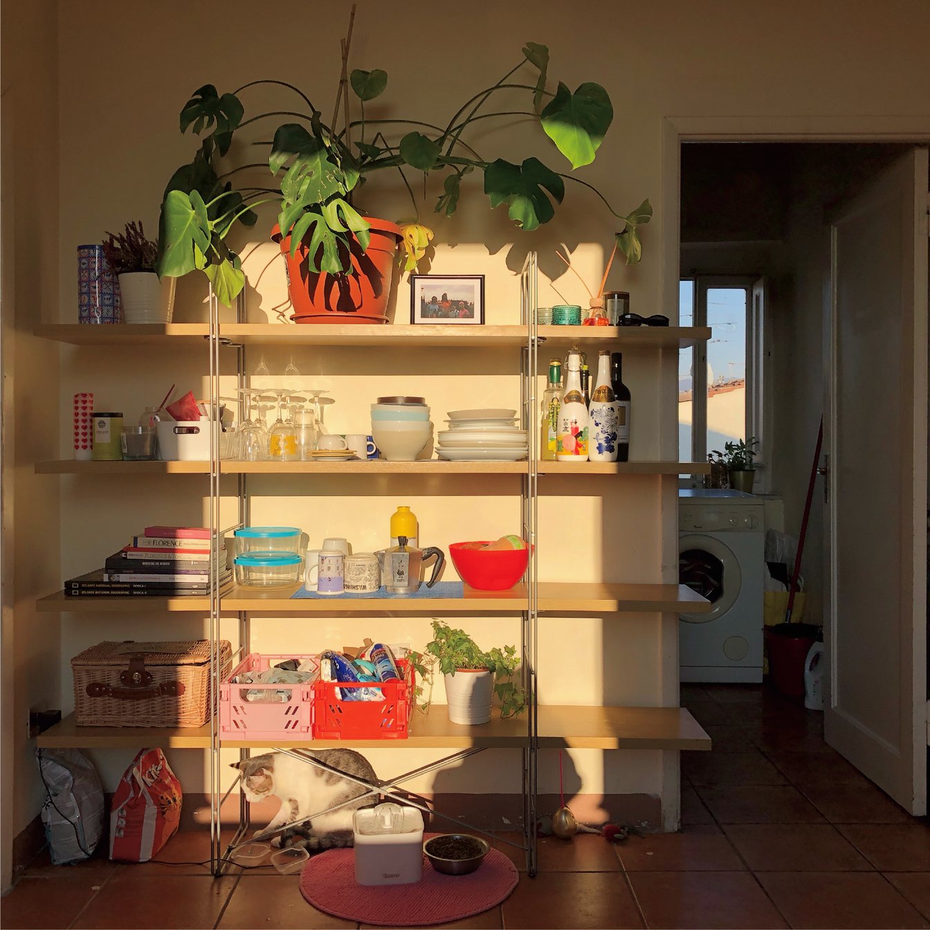 光が差した部屋