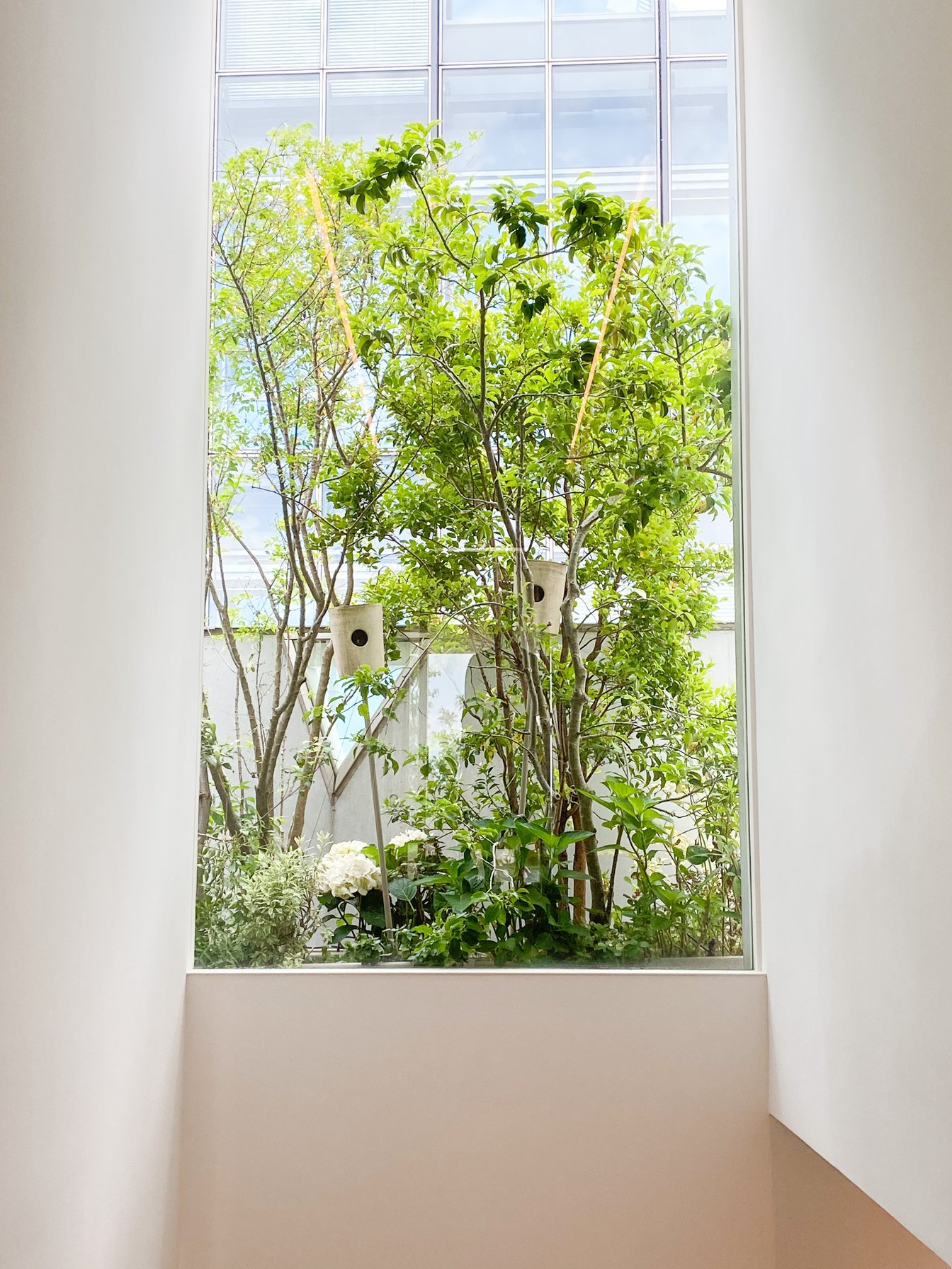 木にぶら下がる小屋