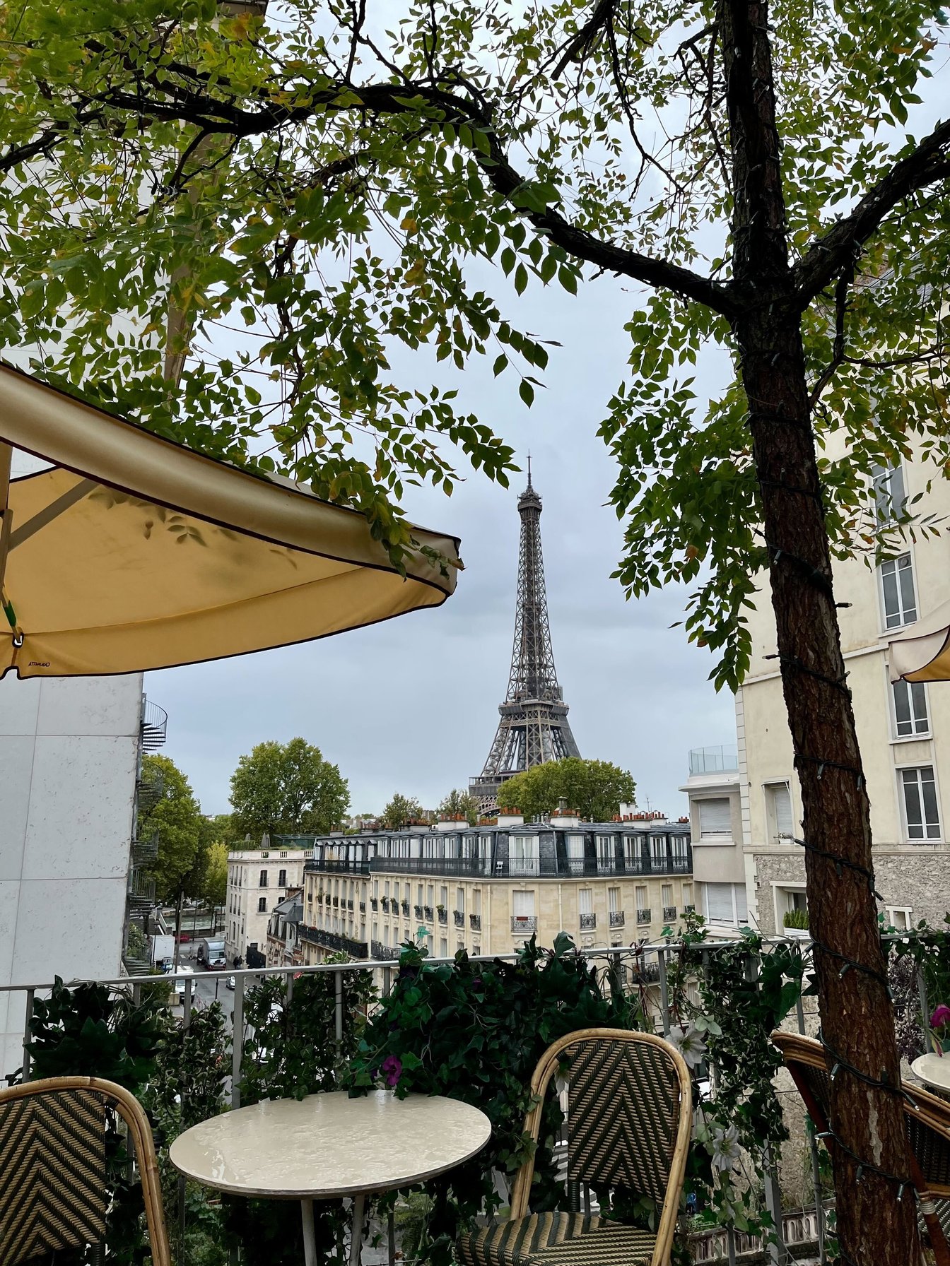 小雨がパラつくパレ・ド・トーキョー周辺から