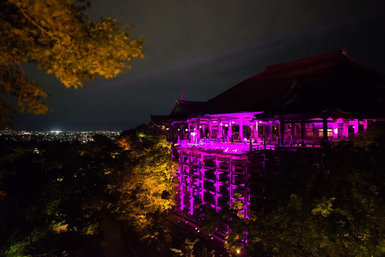 ピンクにライトアップされた清水寺
