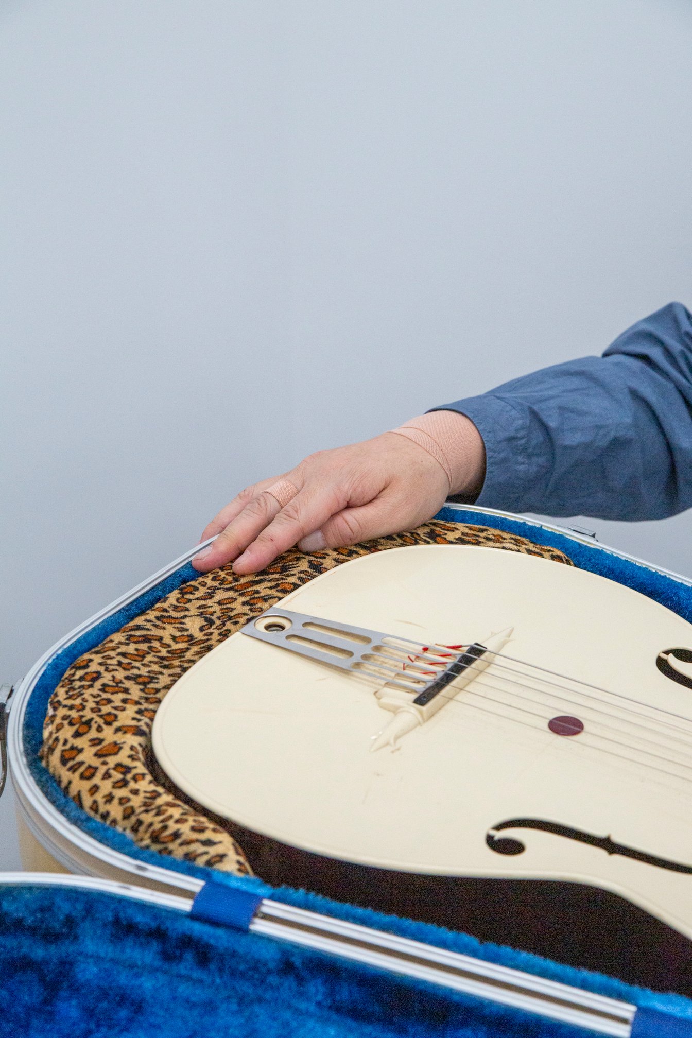 ギターケースに入ったギター