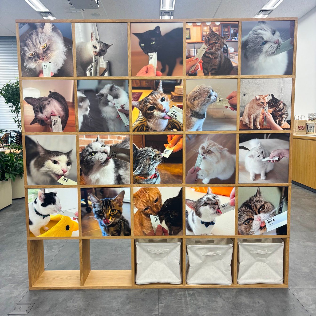 無印良品のペット関連商品 画像