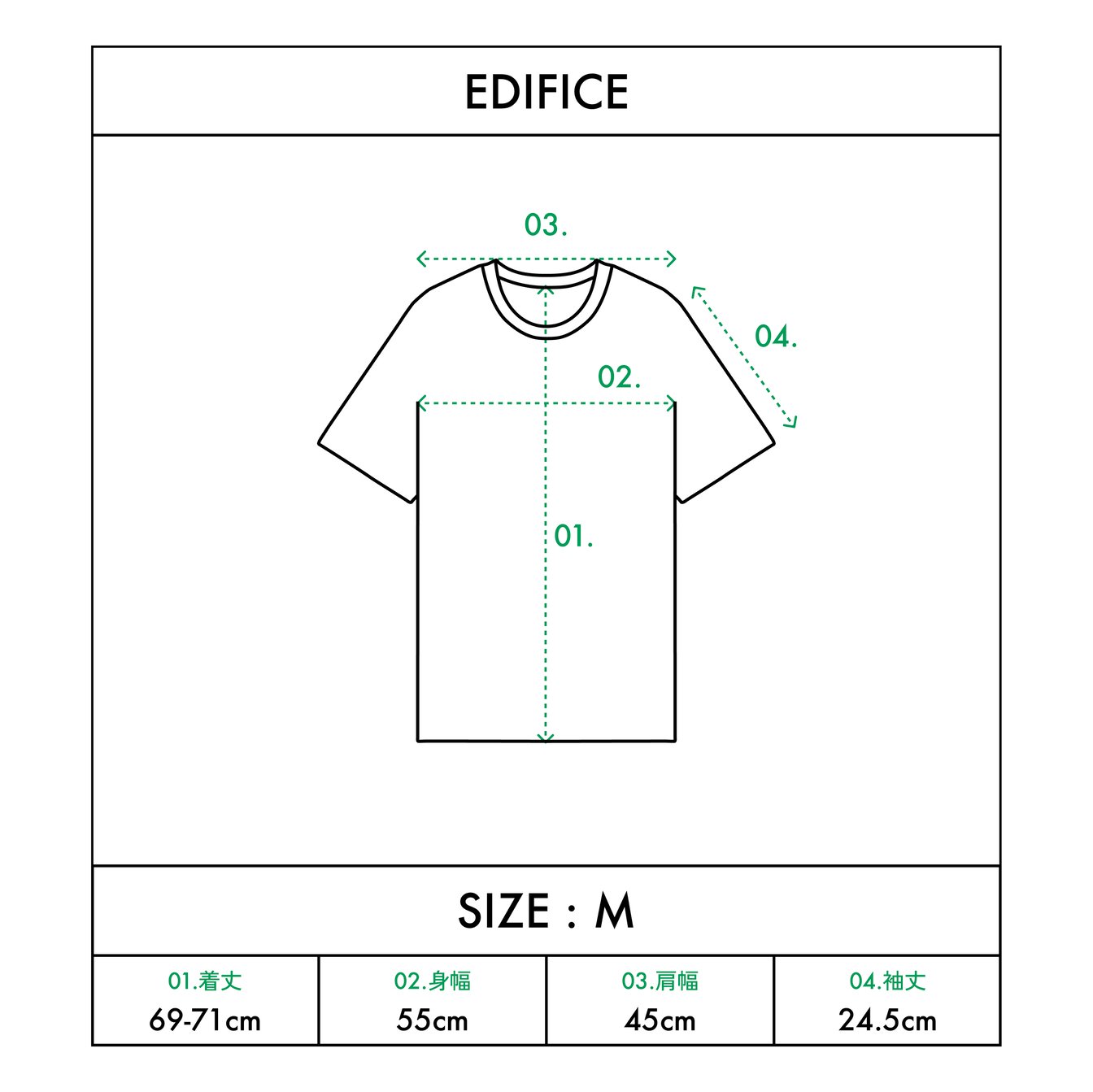 「エディフィス」汗染み防止Tシャツのサイズ感