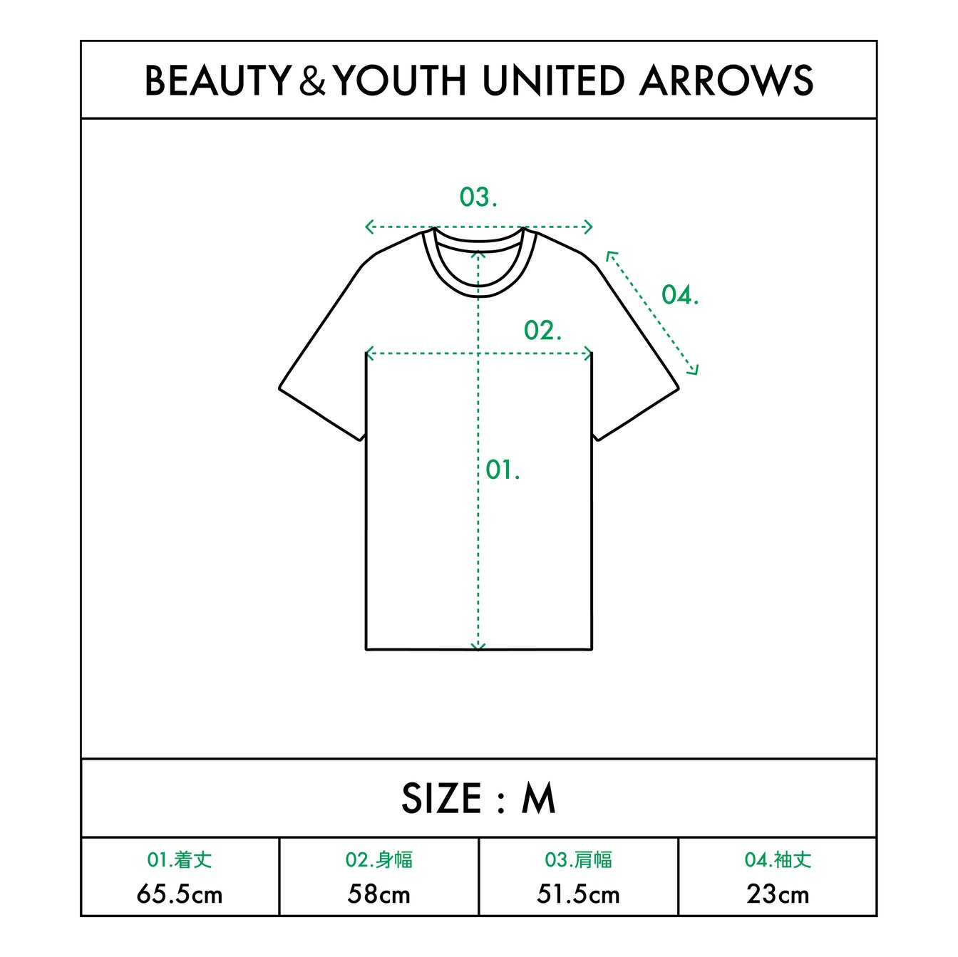 「ビューティーアンドユース」汗染み防止Tシャツのサイズ感