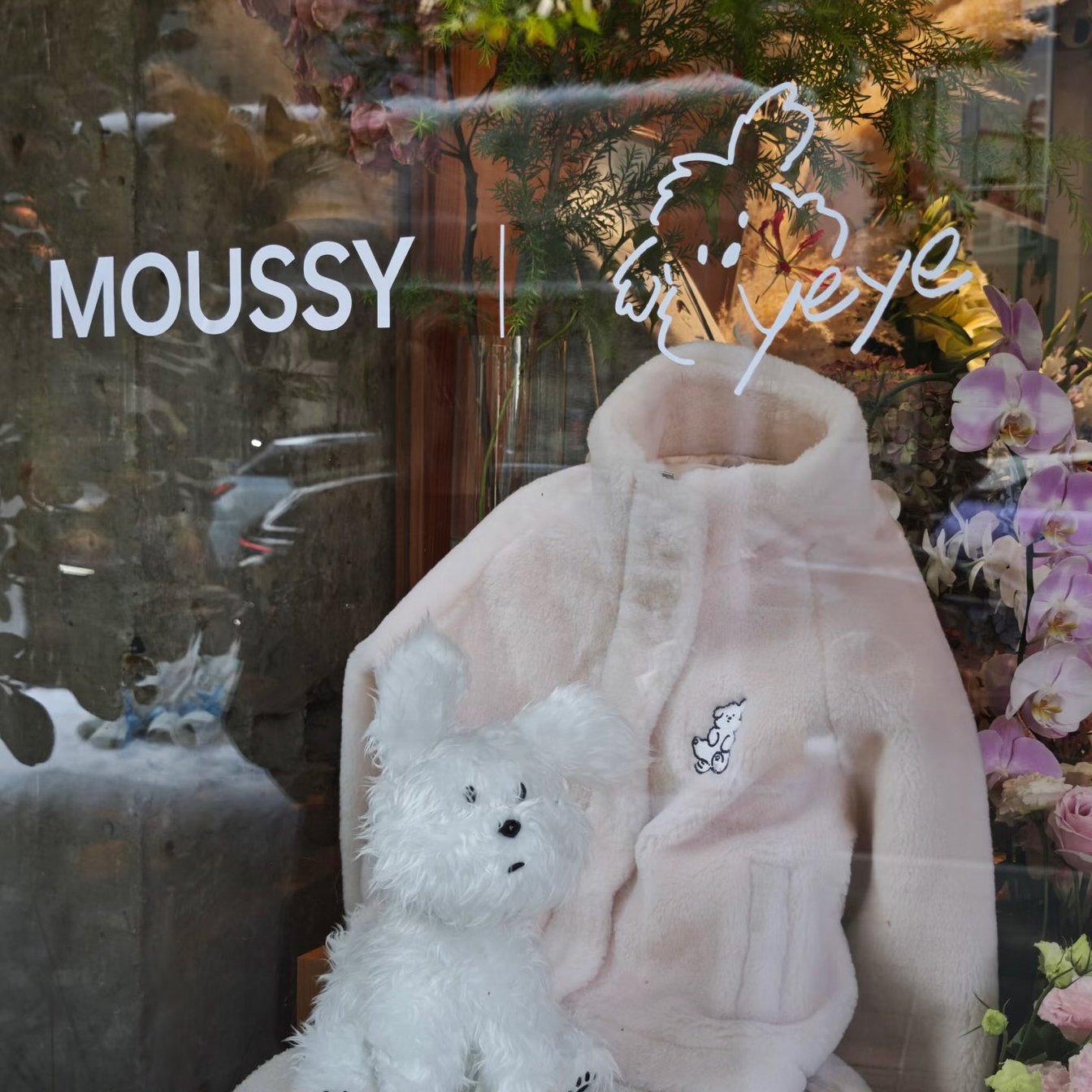 ショーウィンドウ