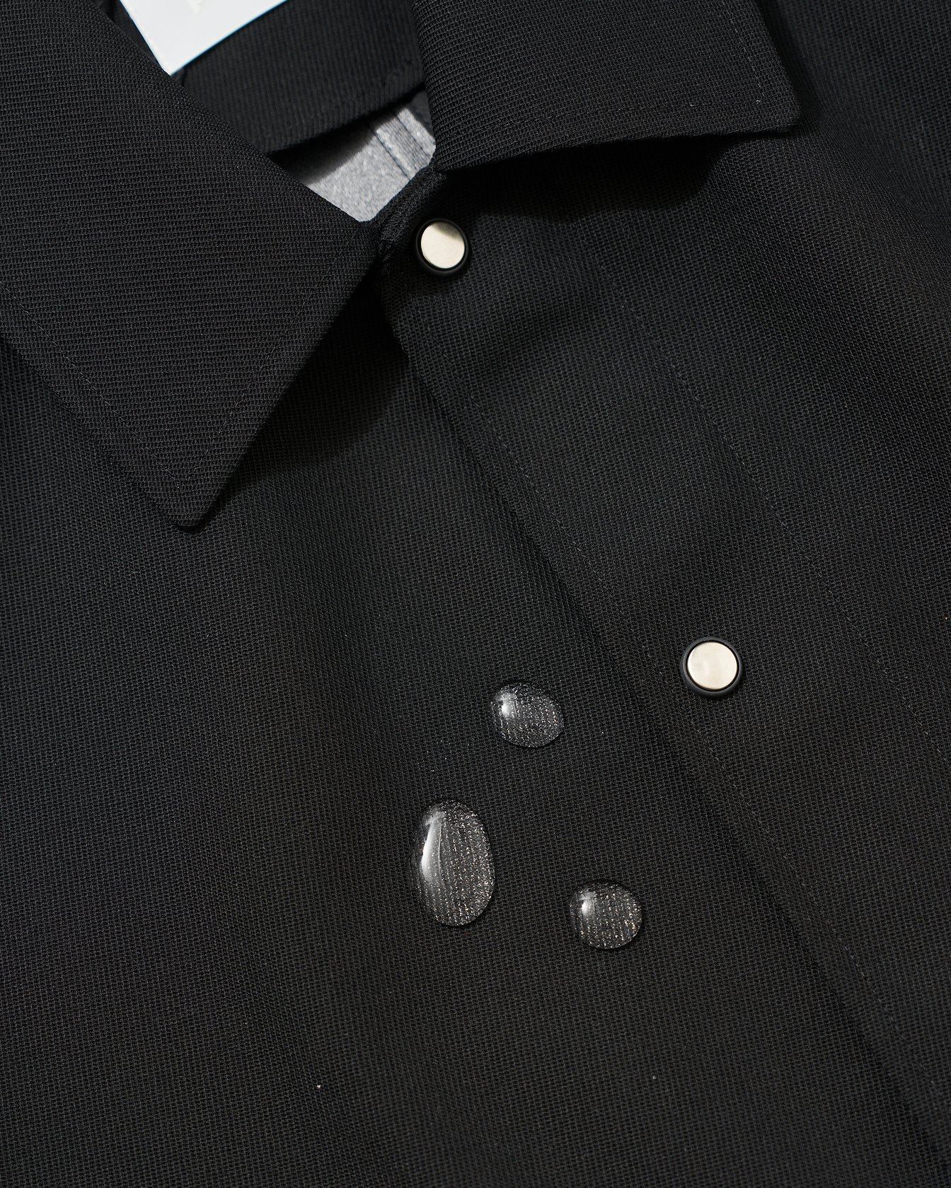 「パラトレイト」のジャケット