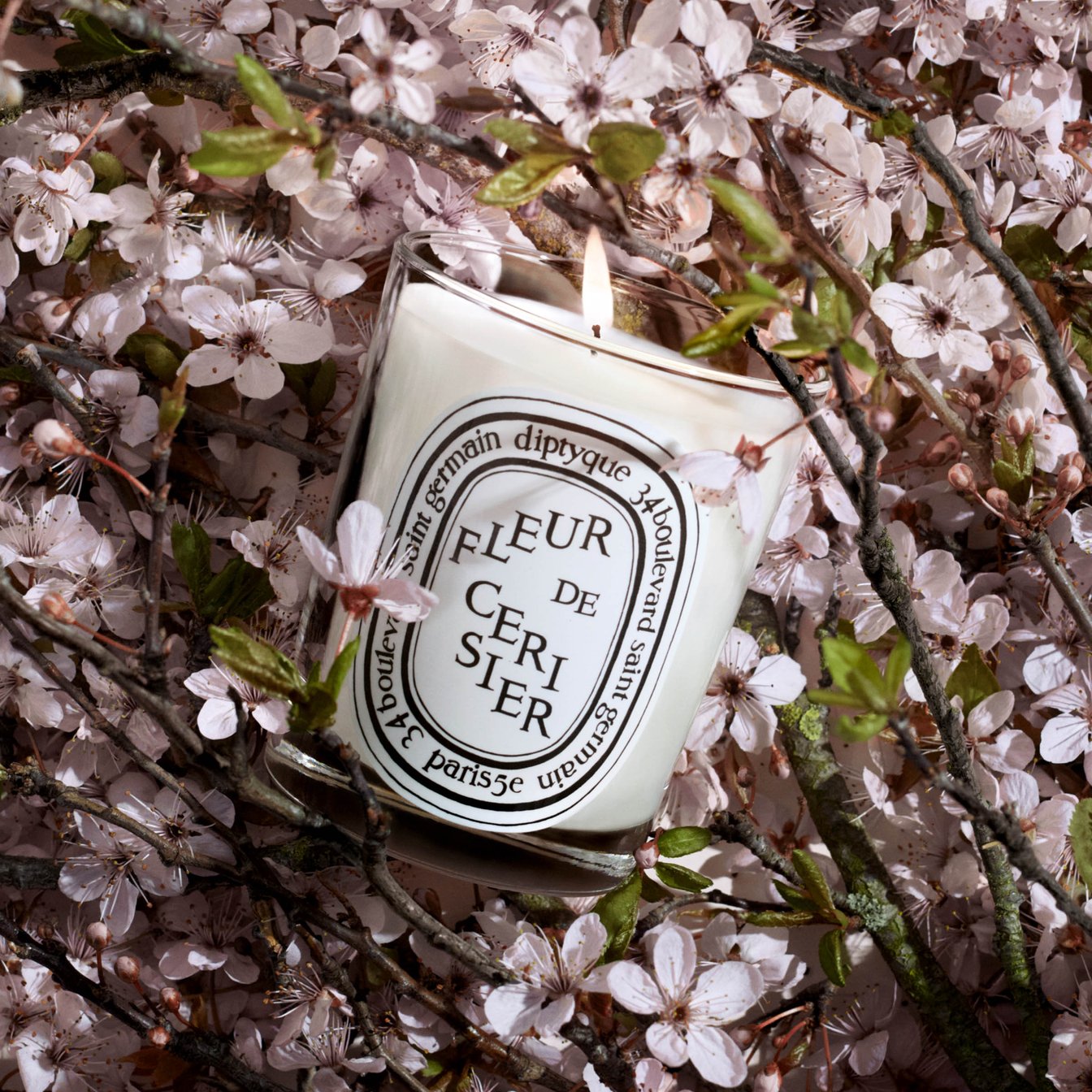 桜こすめまとめ2026