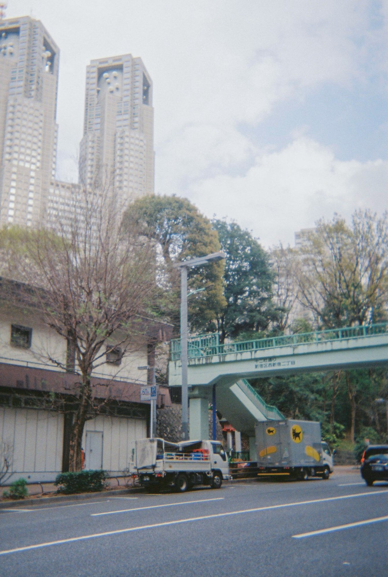 現在の十二社通り